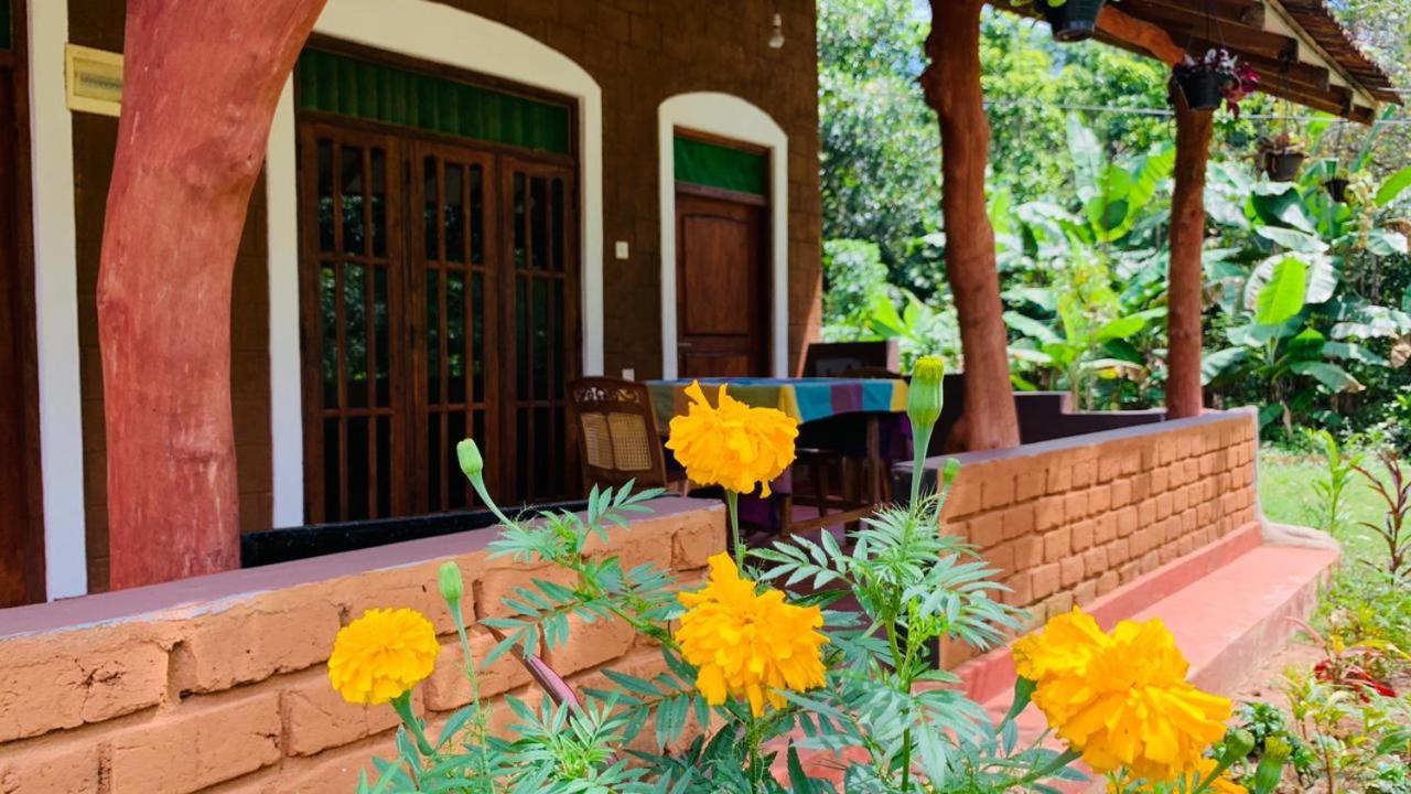 Sigiriya Chena Villa Extérieur photo